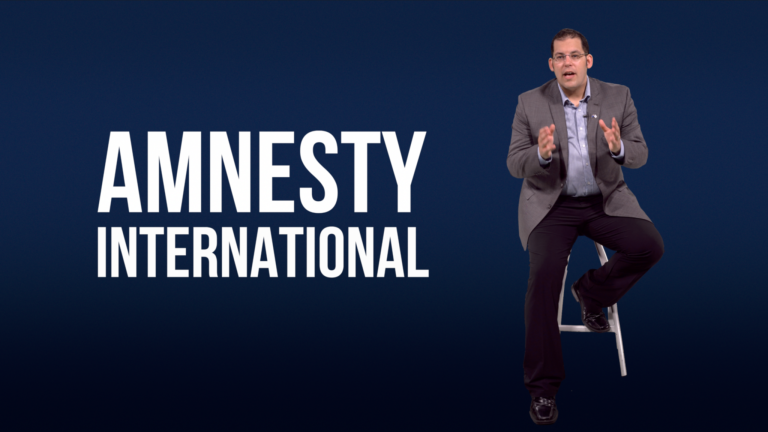 Amnesty International: From Human Rights To Lies